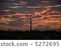 日落天空樹 5272695