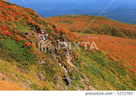 Mt. Kurikoma (Mt. Sugawa), one of the 100 famous mountains of flowers known for the most beautiful mountain autumn leaves in Japan Mt. Kurikoma (Mt. Sugawa), one of the 100 famous mountains of flowers known for the most beautiful mountain autumn leaves in Japan 5272765