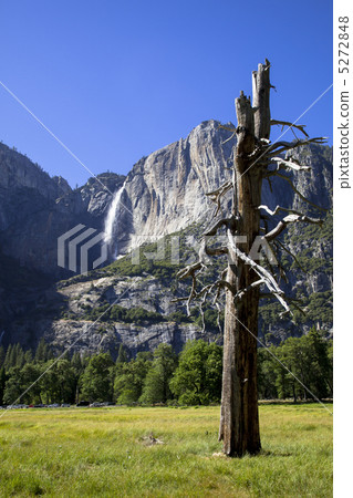 優勝美地瀑布約塞米蒂國家公園 5272848
