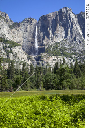 優勝美地瀑布約塞米蒂國家公園 優勝美地瀑布約塞米蒂國家公園 5273728