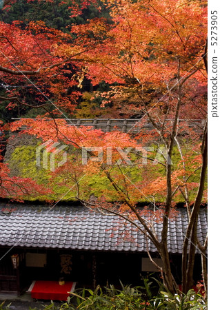 Kita佐賀秋葉 5273905