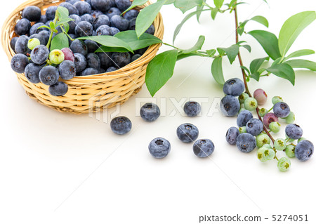 blueberry blueberry 5274051