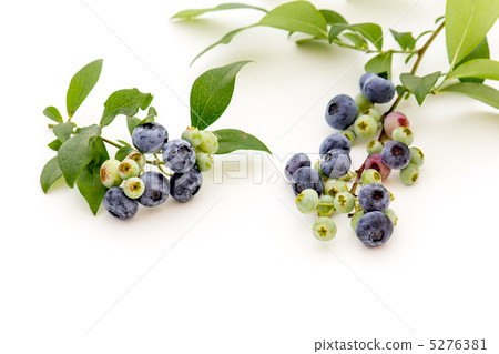 blueberry 5276381