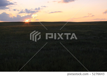 Dusk of grassland 5 Dusk of grassland 5 5276643