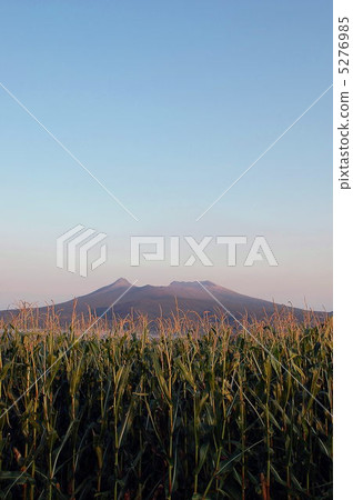 大沼 大沼 5276985