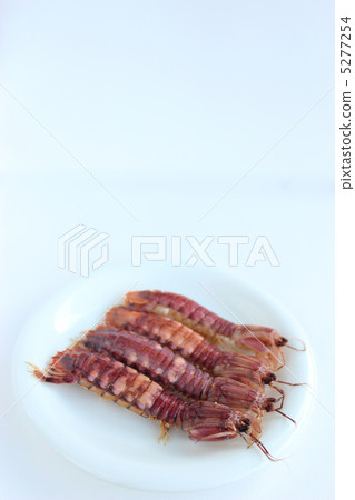 煮硃砂 5277254
