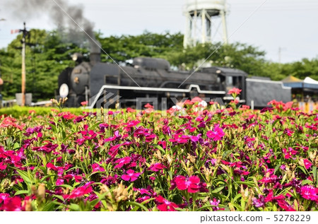 Beyond the flowerbed, the smell of soot Beyond the flowerbed, the smell of soot 5278229