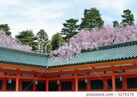 Heian Jingu Shrine, cherry blossoms at Haiku and Corridor Heian Jingu Shrine, cherry blossoms at Haiku and Corridor 5279178