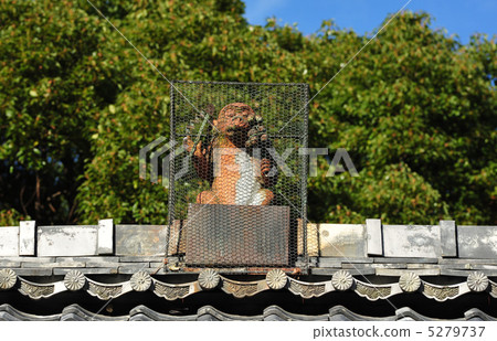 The monkey of Kyoto Akayama Zen master 5279737