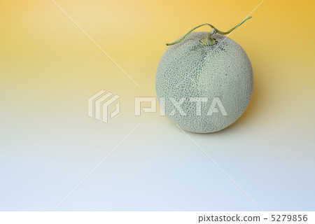 面膜甜瓜 5279856