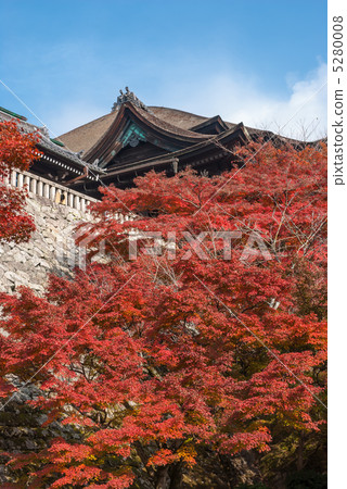 Temple Temple 5280008