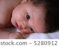 出生後一個月躺下 5280912