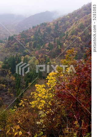 Oku Oyama的秋天樣式 5281083