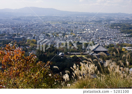 若草山秋天 5281100