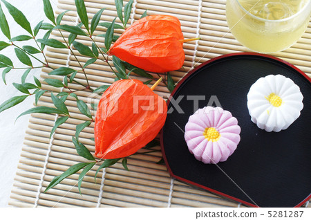 Bonsai confectionery 5281287