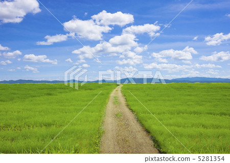 草原和道路 5281354