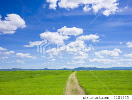 Prairie and road 5281355