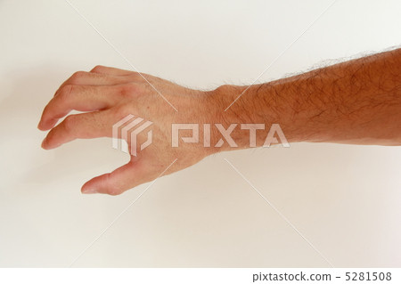Arm hair Arm hair 5281508