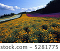  Flower garden 5281775