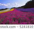  Flower garden 5281810