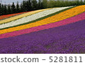  Flower garden 5281811