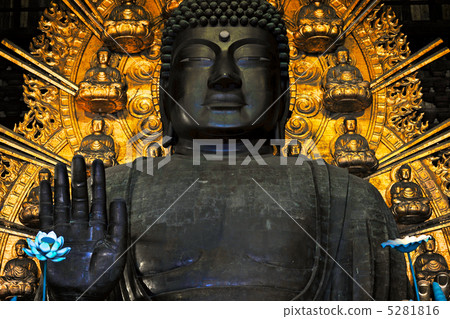 Dear Buddha of Nara 5281816