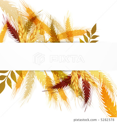 Wheat wheat rice background 5282378