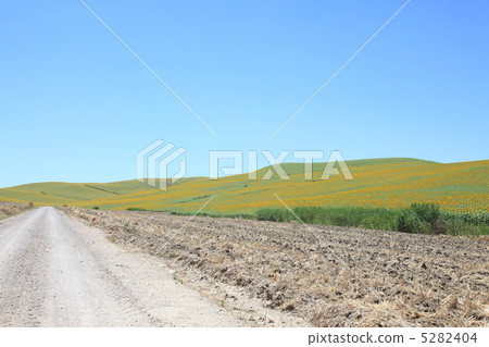Andalusia's country road Andalusia's country road 5282404