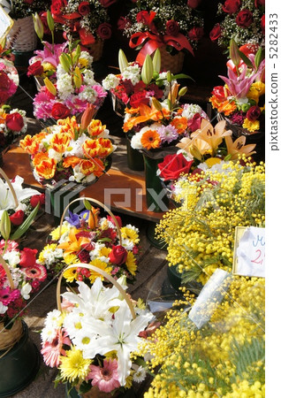 Spanish Ramblas Florist Flower Arrangement 5282433