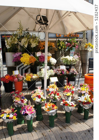 西班牙語Ramblas花店插花 西班牙語Ramblas花店插花 5282437