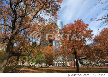 落在紐約 5282454