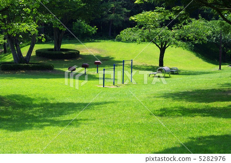 Midsummer park lawn Park lawn and bench Midsummer park lawn Park lawn and bench 5282976