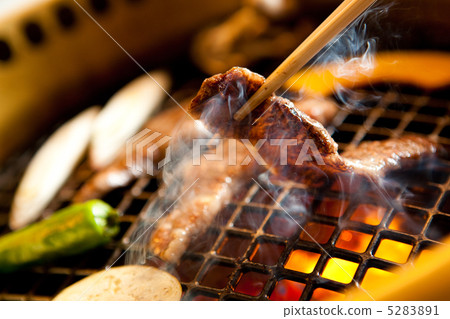 Grilled meat 3 5283891