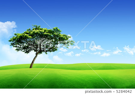tree, cloud, clouds 5284042