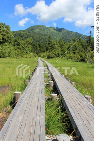 Follow road that continues to Mtugatake at Ozenuma Follow road that continues to Mtugatake at Ozenuma 5288769