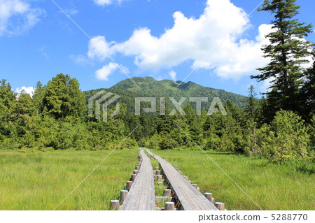 Follow road that continues to Mtugatake at Ozenuma Follow road that continues to Mtugatake at Ozenuma 5288770
