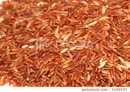紅褐色的茉莉花米泰國美國泰國 5289545