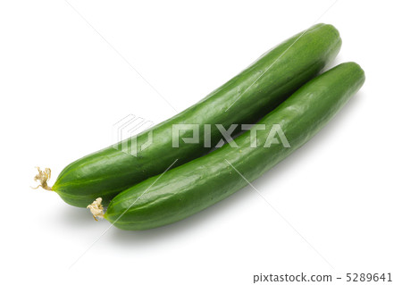 黃瓜 5289641