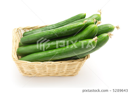 黃瓜 黃瓜 5289643