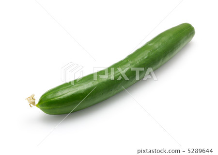 黃瓜 5289644