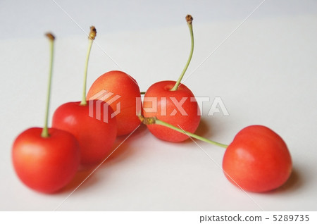 Cherries (South Sea) Cherries (South Sea) 5289735
