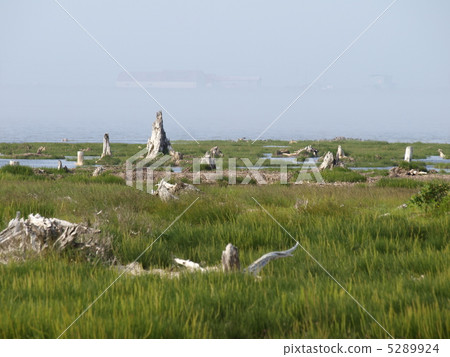 夏天的Natsu半島 5289924