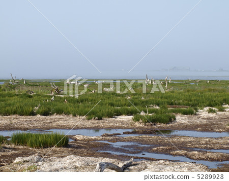 夏天的Natsu半島 夏天的Natsu半島 5289928
