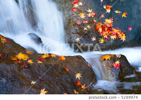 深秋的風景 5289974