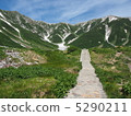 通往立山的道路 5290211