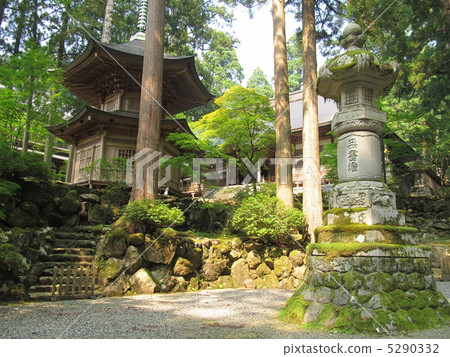 在Eiheiji的區域內 5290332