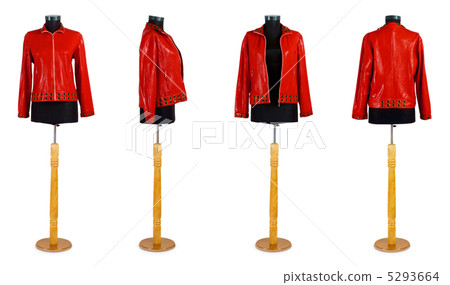 Stylish clothing isolated on the white background Stylish clothing isolated on the white background 5293664