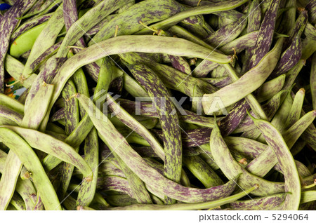 Lots of green pods at the background Lots of green pods at the background 5294064
