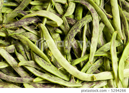 Lots of green pods at the background Lots of green pods at the background 5294266