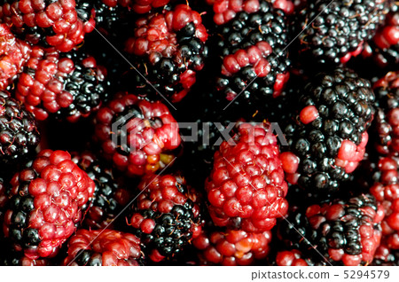 Lots of berries arranged at the background Lots of berries arranged at the background 5294579